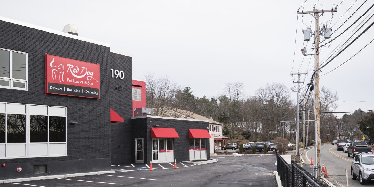 Every dog has its day at this Saugus pet resort Itemlive Itemlive