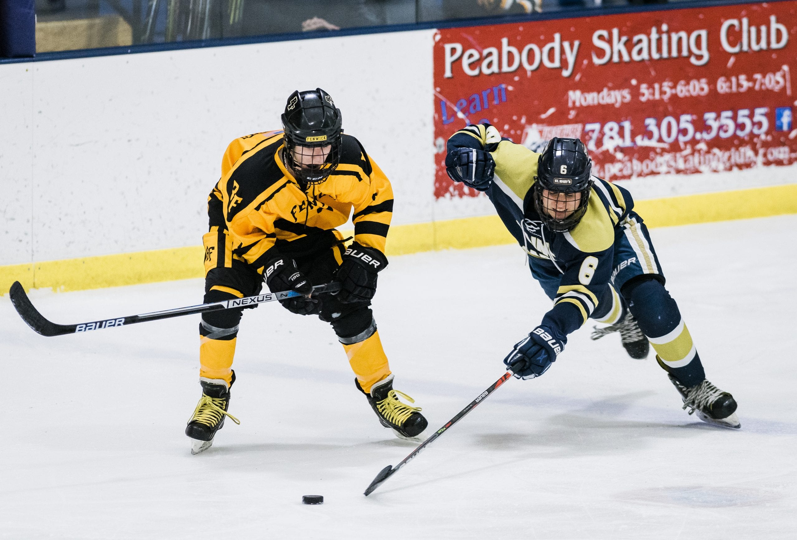 Stage set for St. Mary's boys hockey, local teams in Div. 1 North
