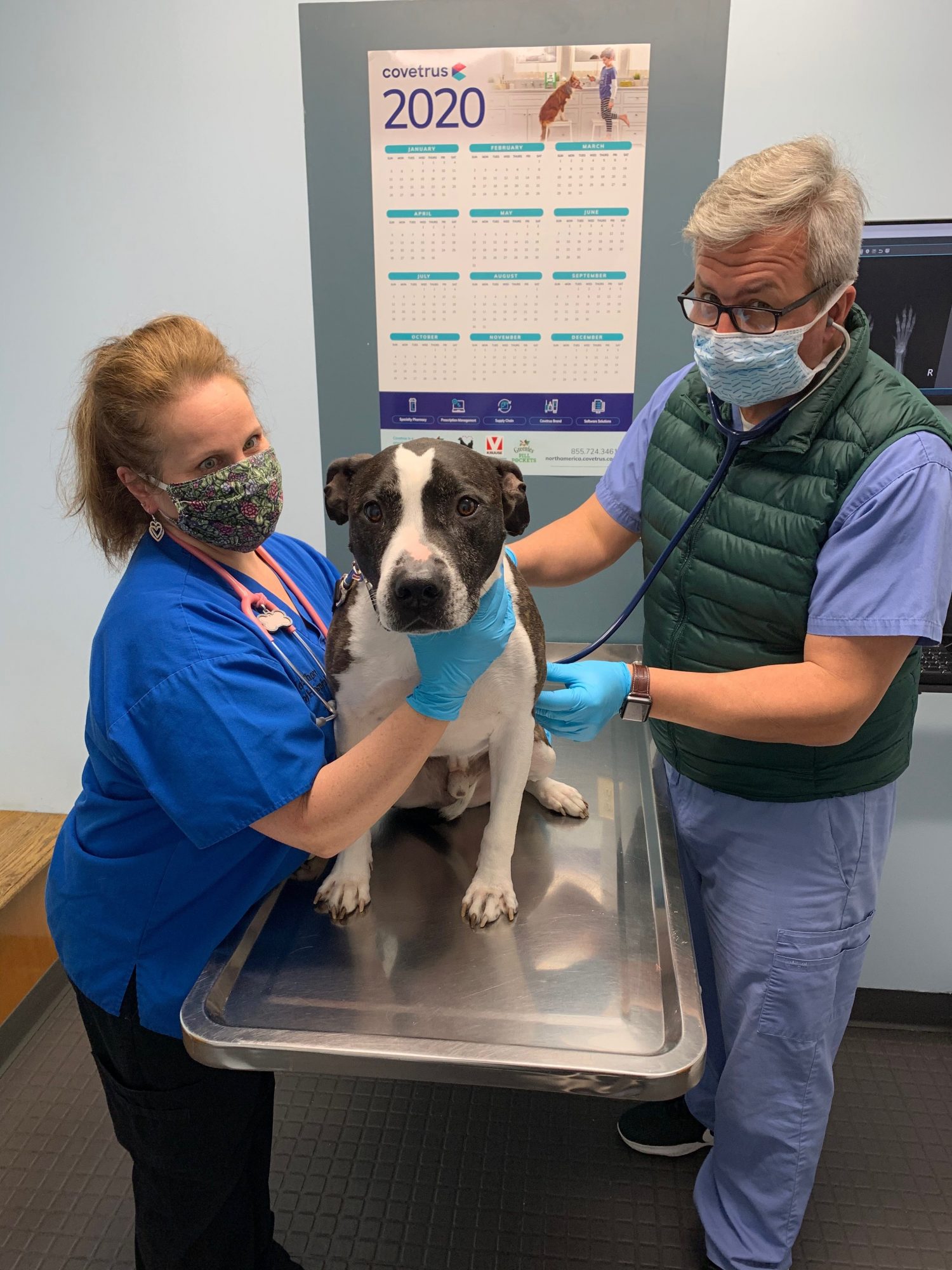 Pet care has also changed with coronavirus pandemic