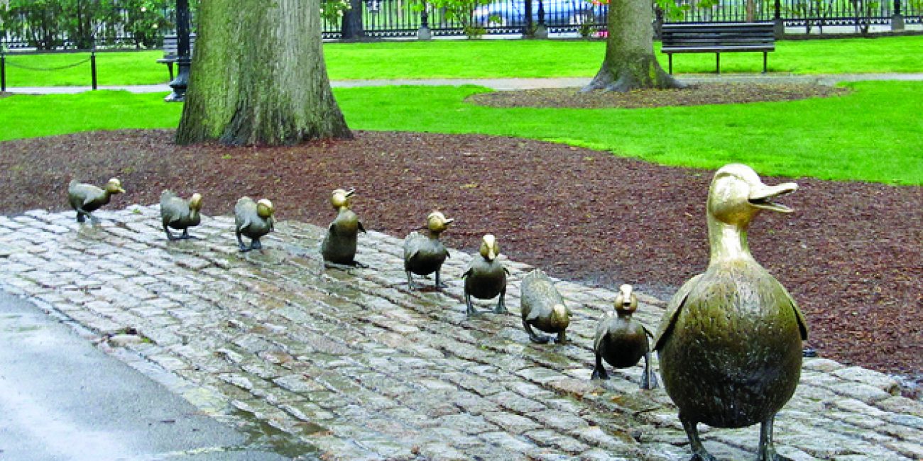 Make way for ducklings - Itemlive : Itemlive