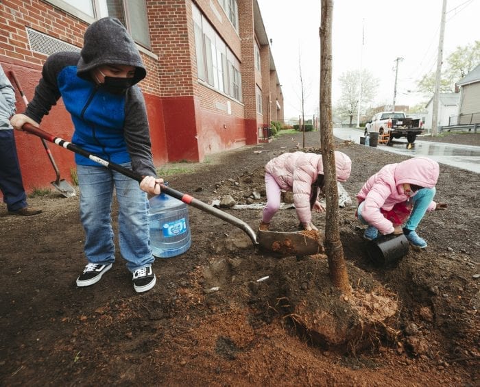 Ingalls Elementary School plants trees in honor of Arbor Day Itemlive