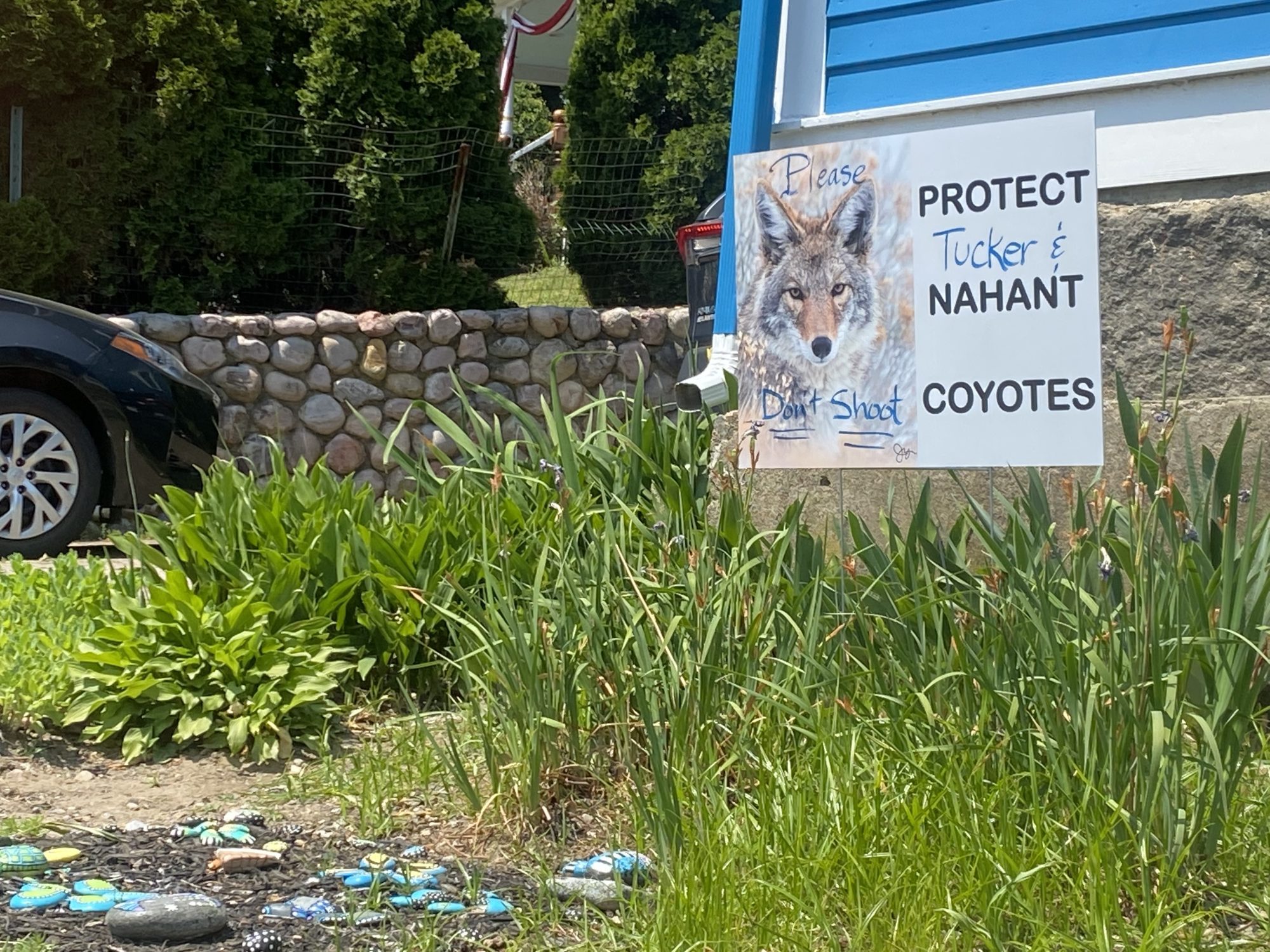 Good Boy or Bad Dog? Nahant Pet Facing Potential Extradation